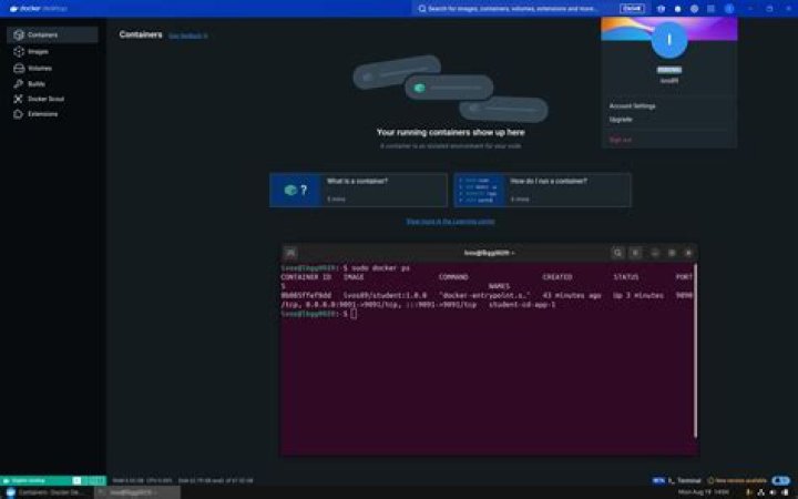 Docker containers running, but not showing up in docker ps