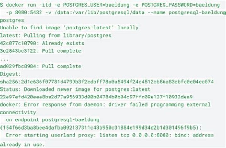 Docker Error bind: address already in use