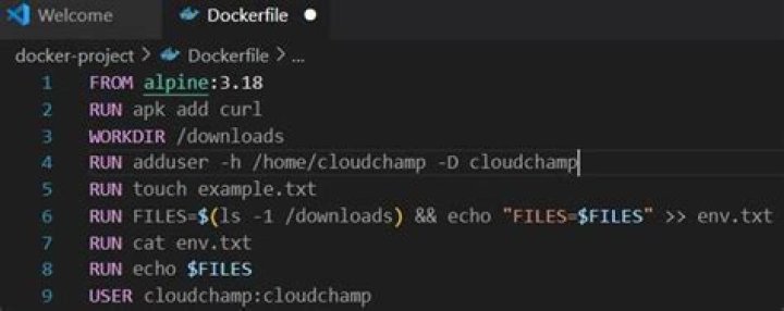 Dockerfile: Output of RUN instruction into a Variable