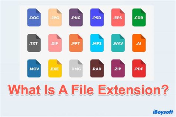 Does one really need to use file extensions for files stored on their hard drive?