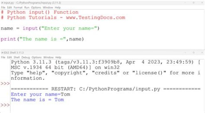 Does python support character type?
