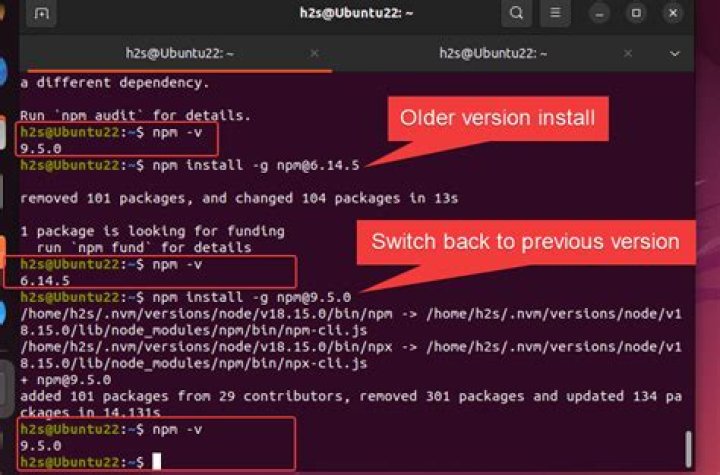 Don't know which version of node I am runnig