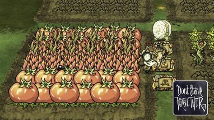 Don't Starve Together: Changing resources + Starting Variety, what do these settings mean?
