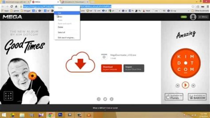Download files like mega.co.nz