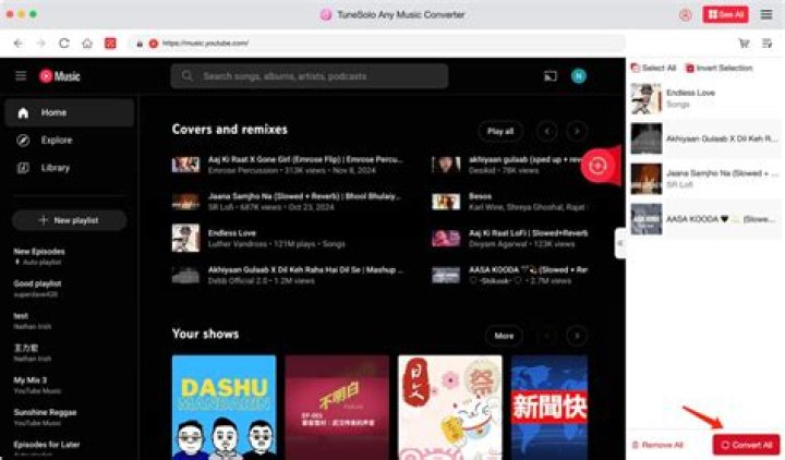 Download youtube playlist from youtube-dl. but no sounds [closed]
