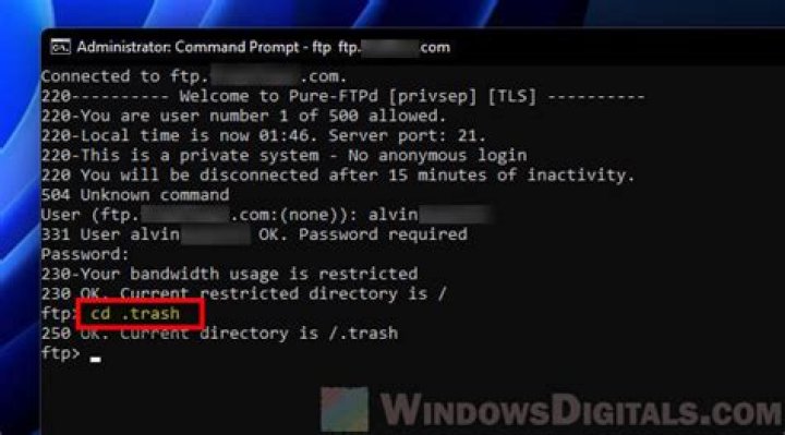 Downloading all files in a directory with ftp command