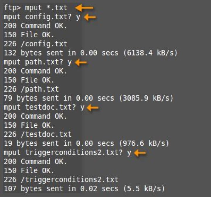 Downloading from FTP using wildcards on Command Line