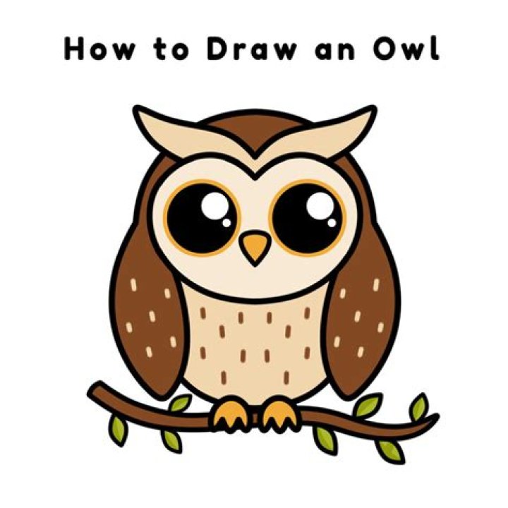 Drawing