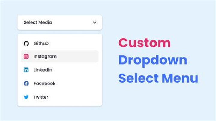 Drop Down Menu/Text Field in one