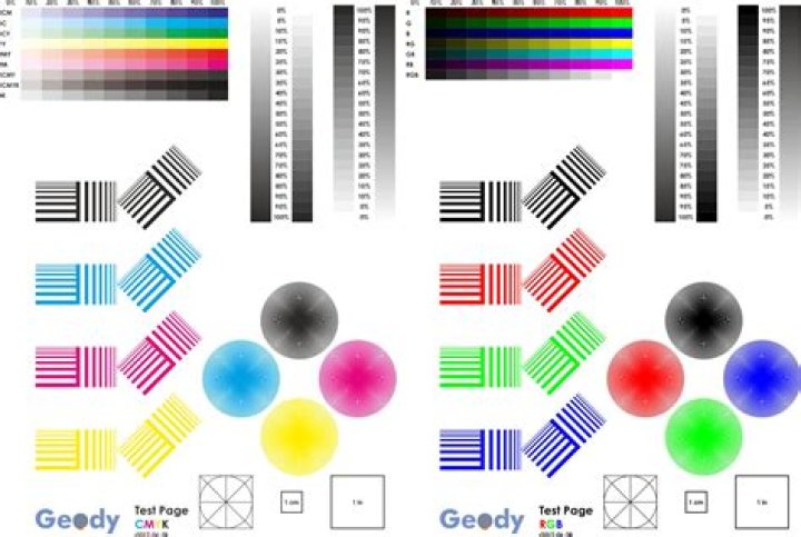 Duplicate color printer as black and white printer