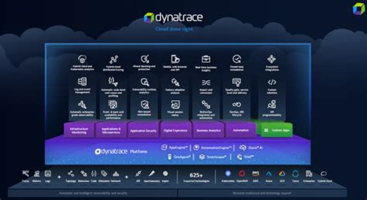 Dynatrace: what is the meaning of srv in dtCookie Cookie set by UEM