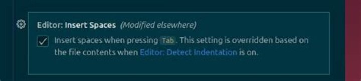 Editor: Insert Spaces