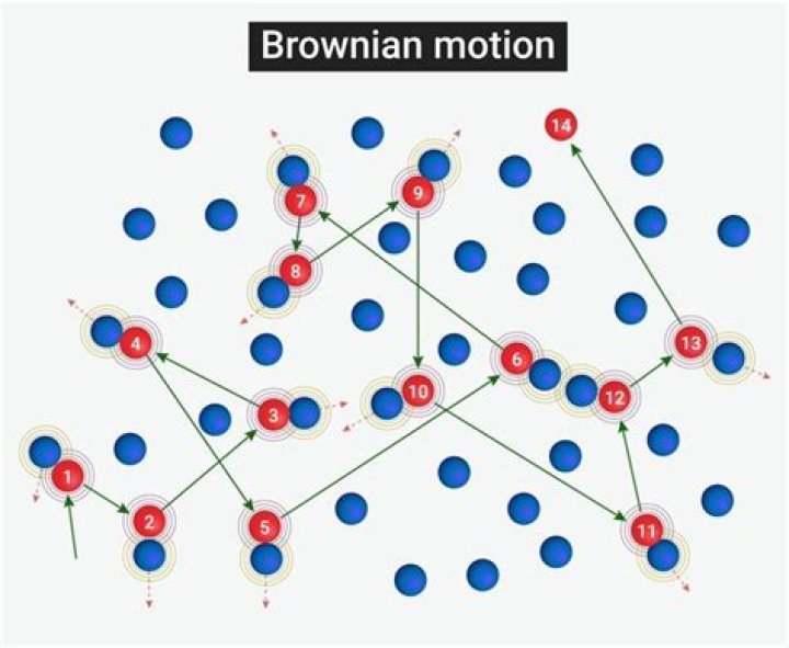 (Elementary) Markov property of the Brownian motion