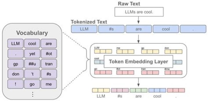 Embedding so(n) in su(n)