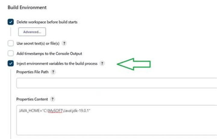 Environment Injector Plugin