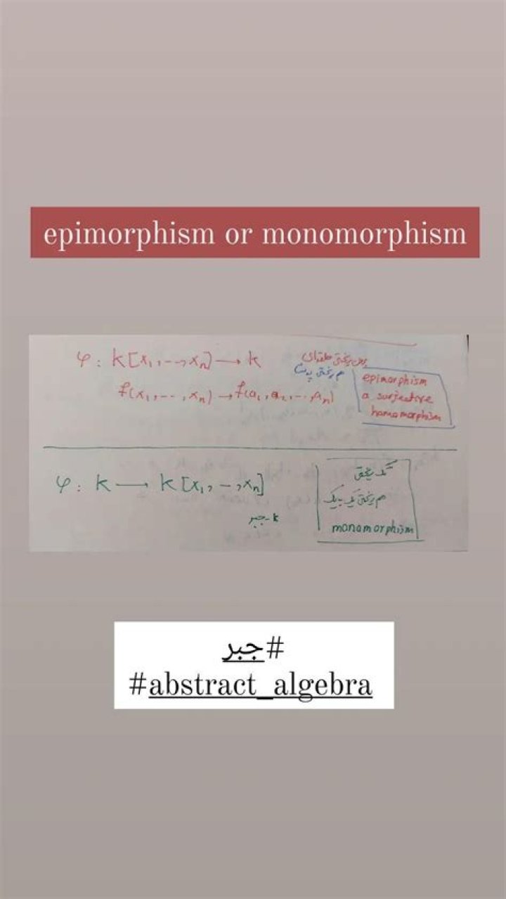 Epimorphism and monomorphism explained without math?