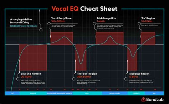 Equalizer to cut specific frequencies on microphone input