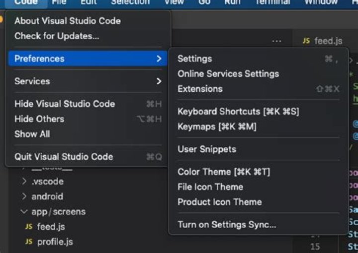 Error: 'types' can only be used in a .ts file - Visual Studio Code using @ts-check
