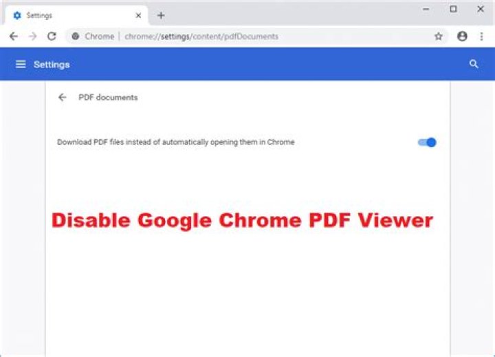 Error in Google Chrome pdf viewer