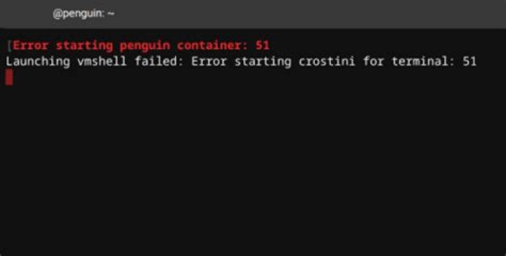 Error starting penguin container: 15 Launching vmshell failed: Error starting crostini for terminal: 15|| What to do?