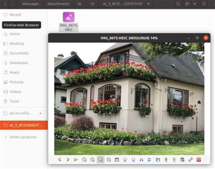 example of an HEIF image opened from the file manager