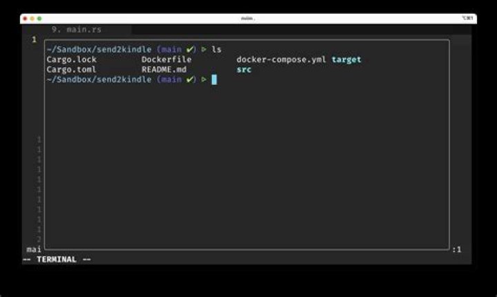 Example VIM terminal screen