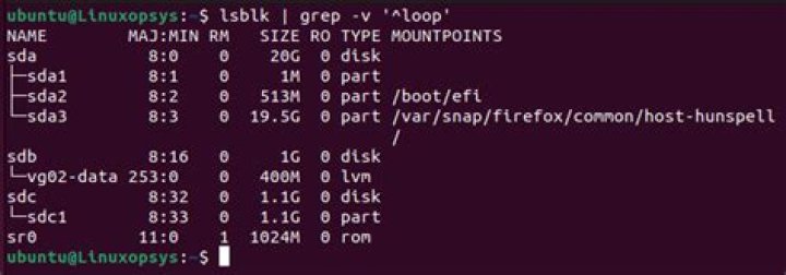 Exclude loop* snap devices from lsblk output?
