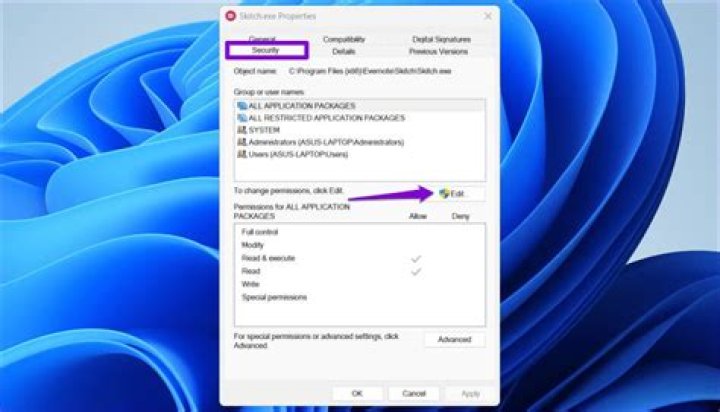 .exe file permission fail