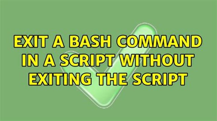 exit a bash command in a script without exiting the script