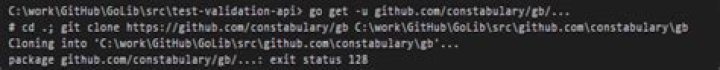 exit status 128 while cloning the git repository while getting go package from Github location
