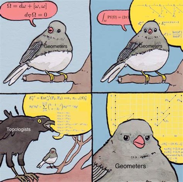 Explain this mathematical meme (Geometers bird interrupting Topologists bird)