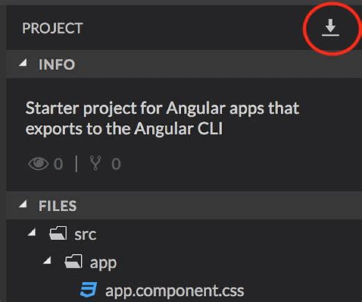 Export Angular project from StackBlitz to local