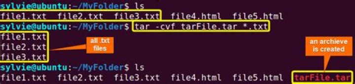 Extract specific files in a tar archive using a wildcard