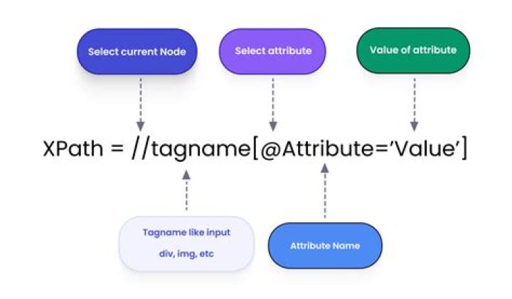 Extract value of attribute node via XPath