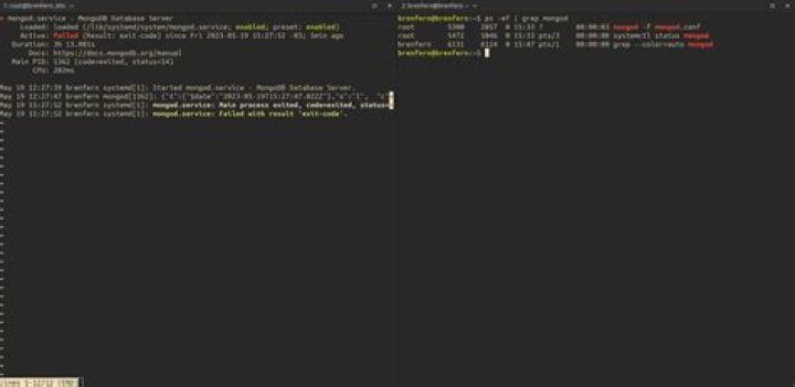 Fail to start mongod service but mongodb service