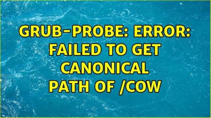 Failed to get canonical path of /cow
