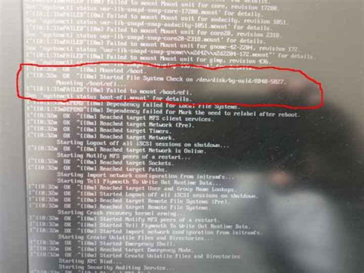 Failed to mount /boot/efi