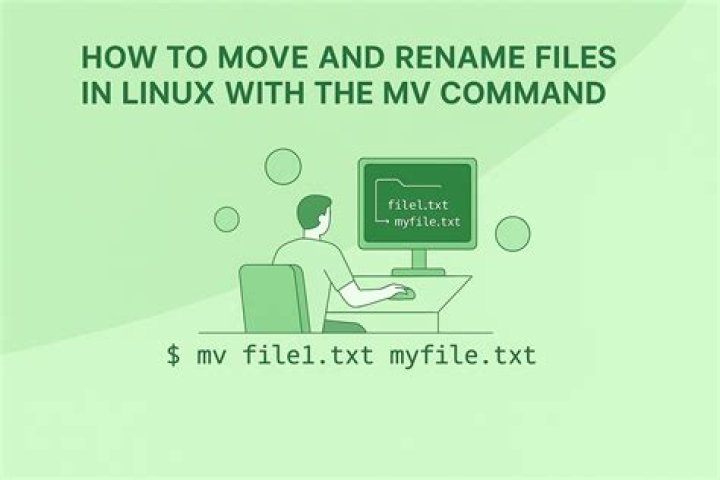 Files missing after using mv command