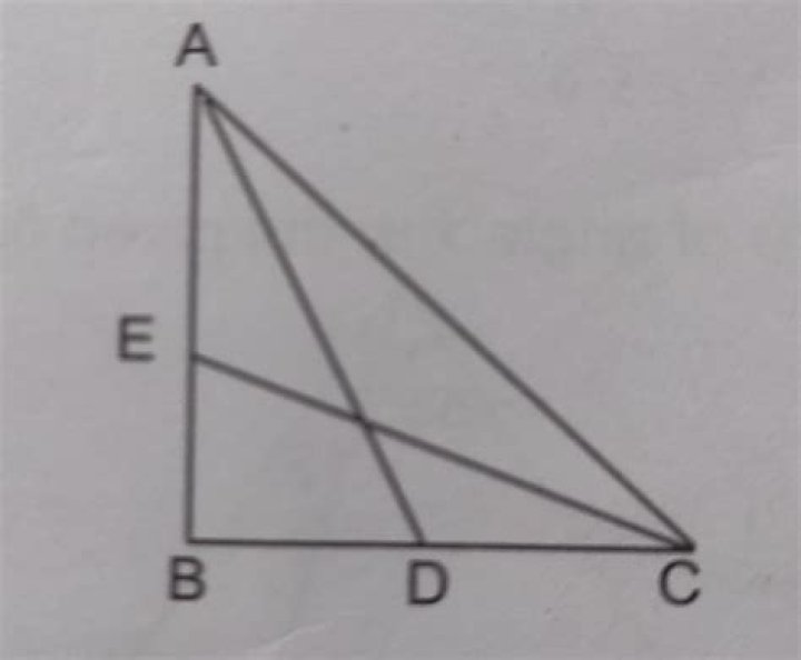 Find the length of $CE$