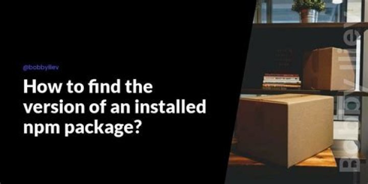 Find the version of an installed npm package