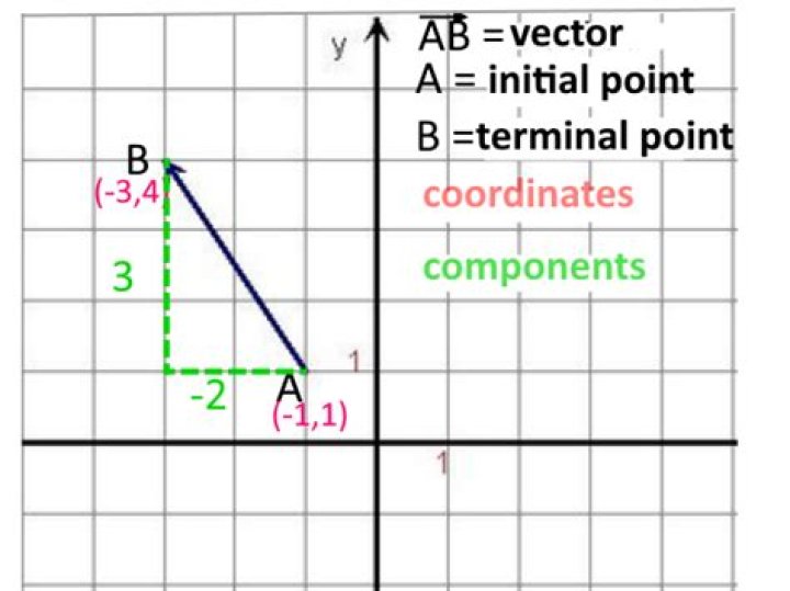 Finding terminal points for vector