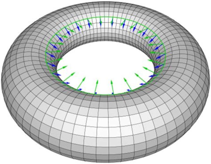 Finding the Geodesic Curvatures of a Torus