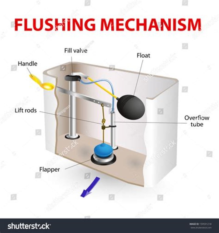 Flushing a named pipe