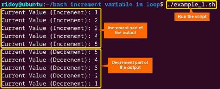 For loop with variable increment