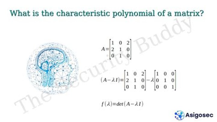 For the general form of a characteristic polynomial what is the trace squared of matrix A mean?