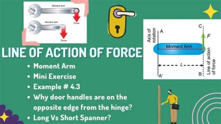 Forces and line of action