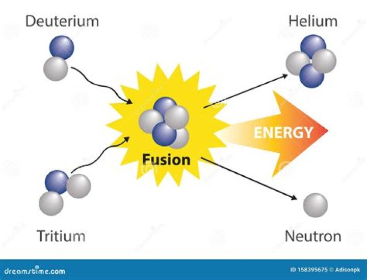 Fusion++