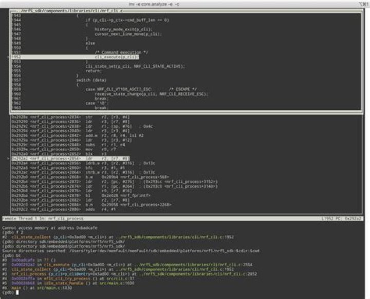 GDB print all values in char array