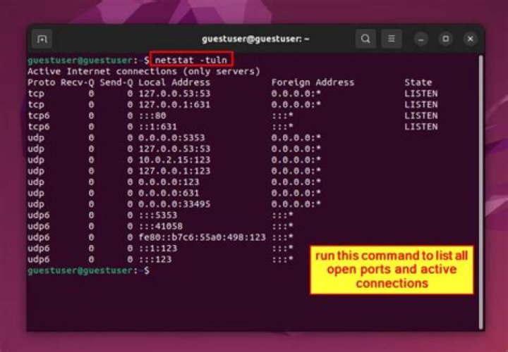 Get a list of Open Ports in Linux