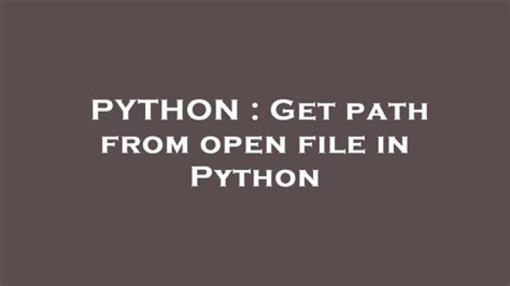 Get path from open file in Python